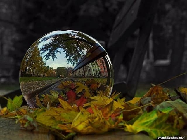 Creative Natuurfotografie