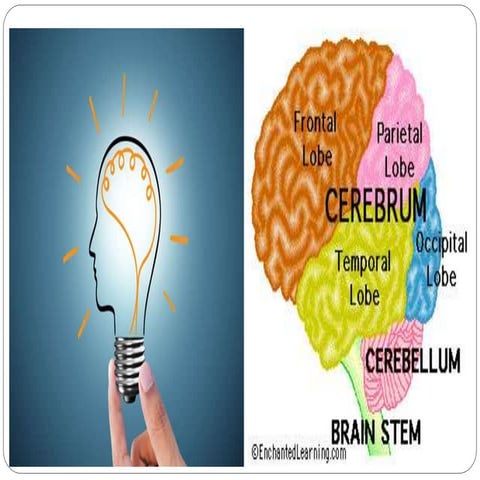 Creativity in nursing