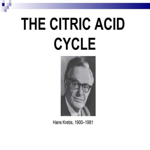 Crebs cycle 2013