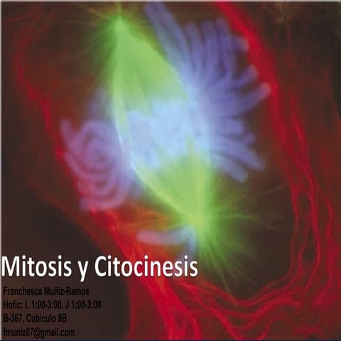 Crecimiento Desarrollo