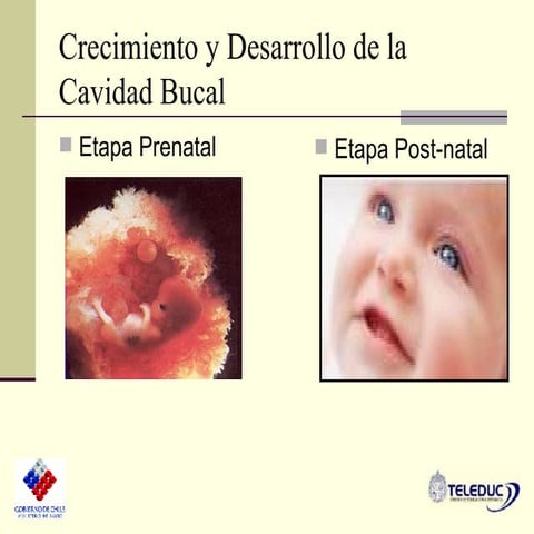 Crecimiento Y Desarrollo De La Cavidad Bucal