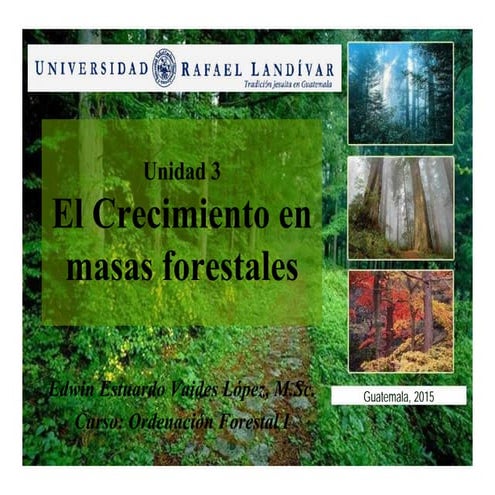Crecimiento en masas forestales