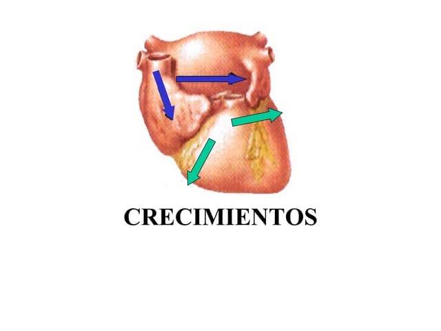 Crecimientos de cavidades