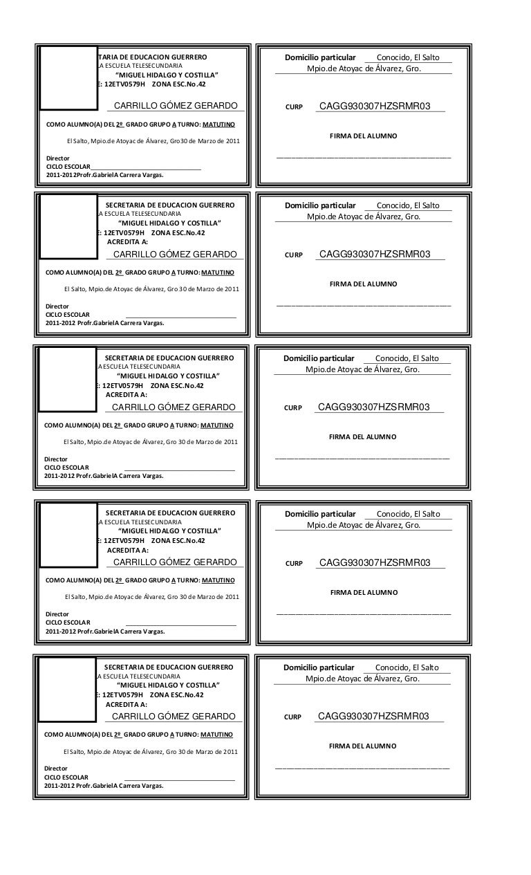 formato para credenciales en word