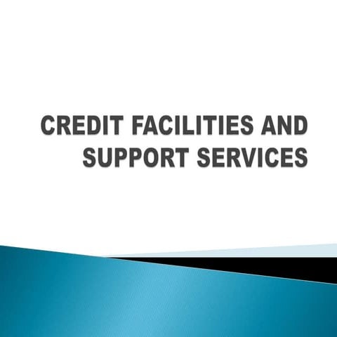 Credit facilities and support services 