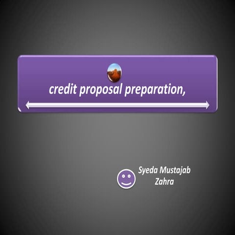 Credit proposal preparation by z ara