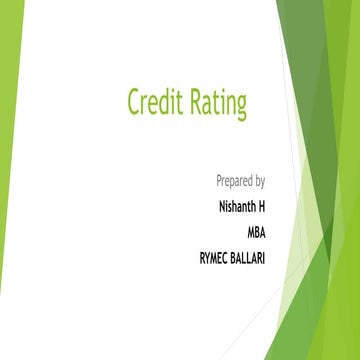 Credit rating agency