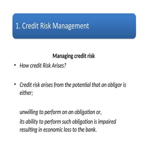 Credit Risk Management slides very easy .ppt