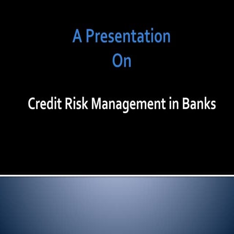 Credit risk management presentation