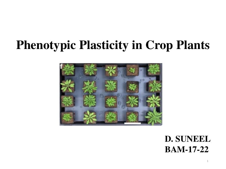PHENOTYPIC PLASTICITY IN CROP PLANTS