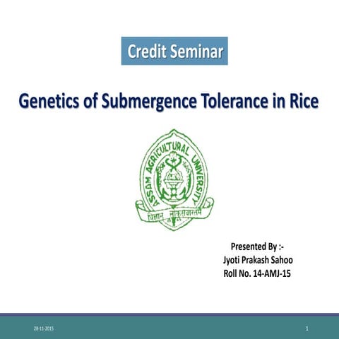 submergence tolerance in rice - sub 1 | PPTX