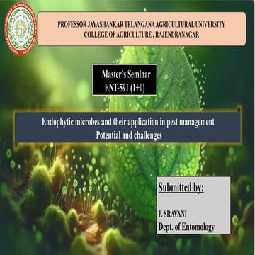 Trichoderma ppt | PPTX