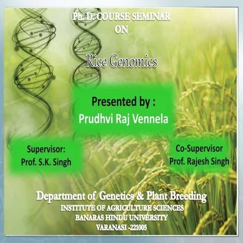 Credit seminar on rice genomics crrected
