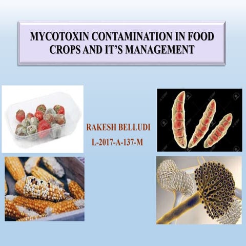 Mycotoxin contamination in food crops and its management