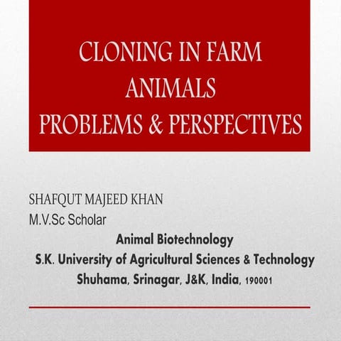 Animal Cloning Procedure, Problems and Perspectives