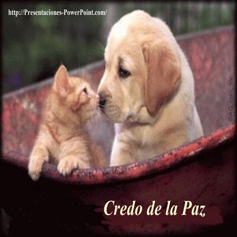 Soy Culpable de guerra