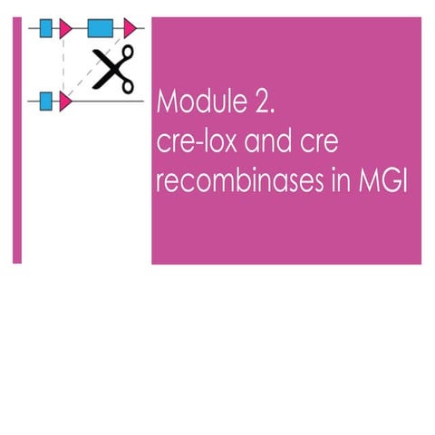 The Cre-LoxP System | PDF