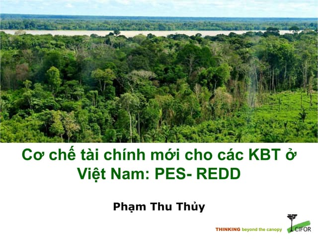 Cơ chế tài chính mới cho các KBT ở  Việt Nam: PES- REDD