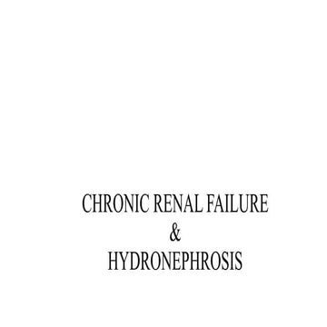 CHRONIC RENAL FAILURE AND  HYDRONEPHROSIS