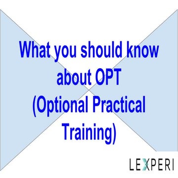 What you should know about OPT
