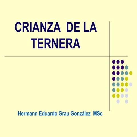 Cria de la ternera