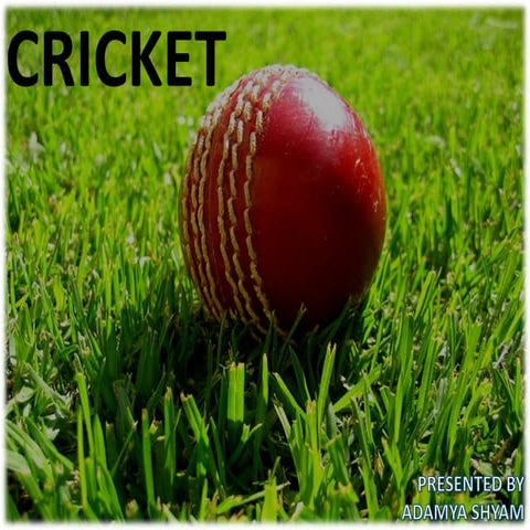Cricket