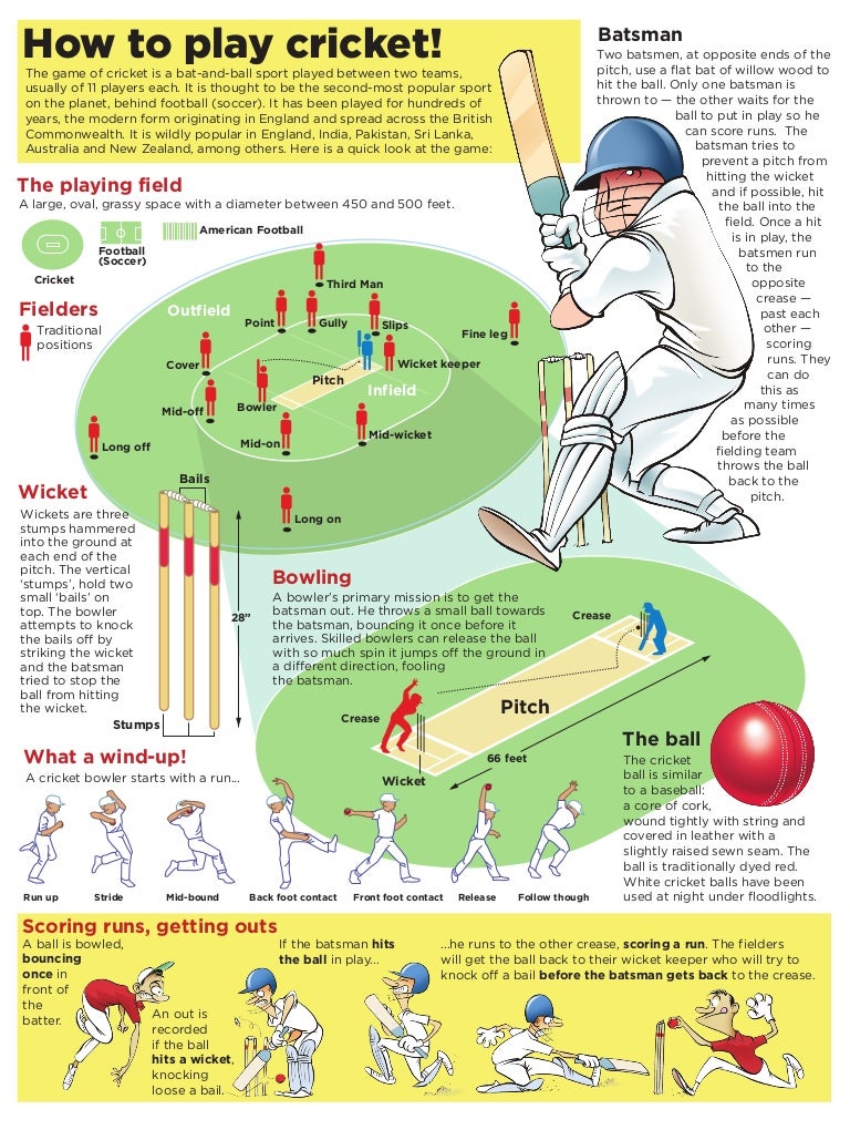 Cricket101