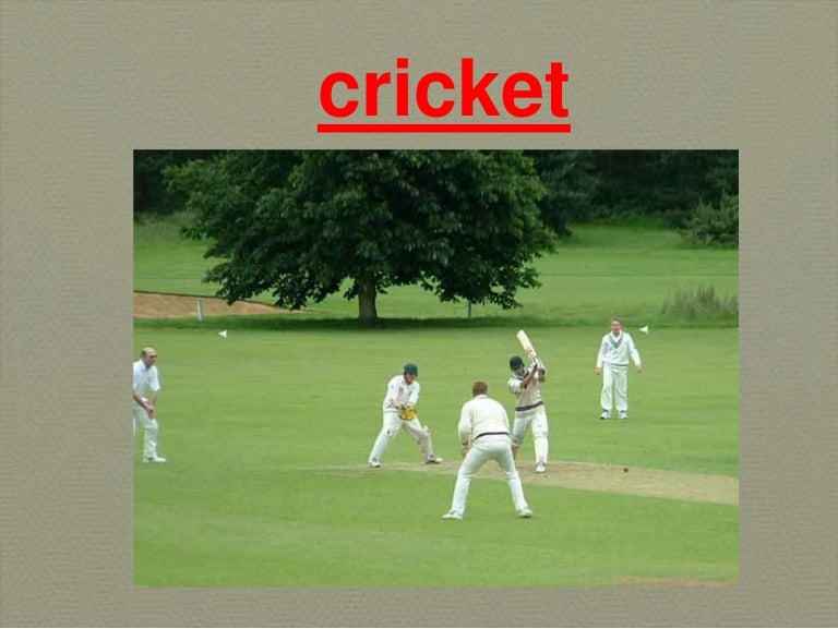 a presentation about cricket