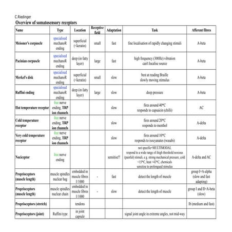CRiedinger_somatosensory_receptors