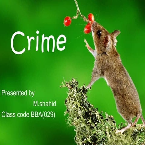 Crime
