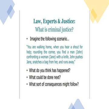 criminal justice.pptx