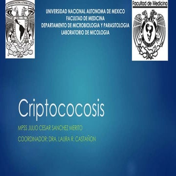 Criptococosis | PPTX | Infectious Diseases | Diseases and Conditions