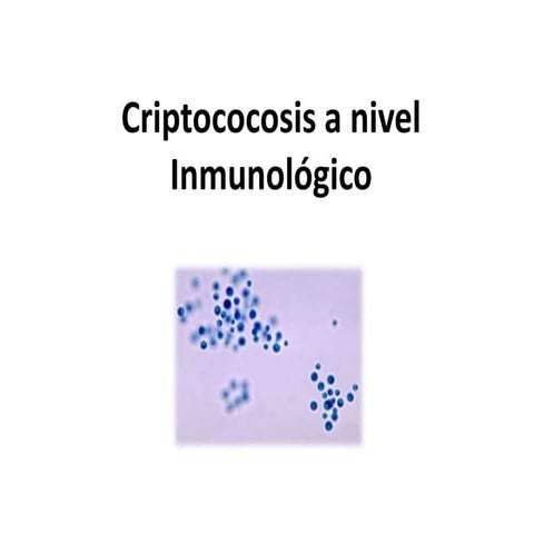 Criptococosis a nivel inmunológico | PPTX