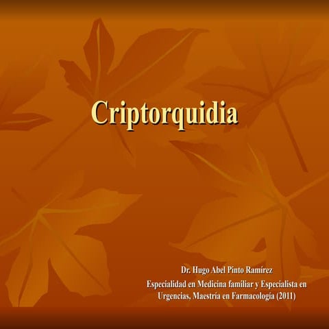 Criptorquidea