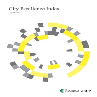 City Resilience Index