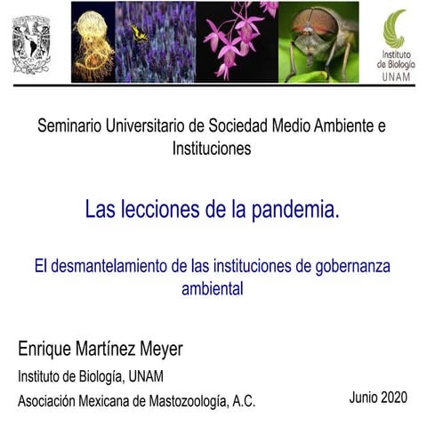 El desmantelamiento de las instituciones ambientales- Enrique Martínez Meyer