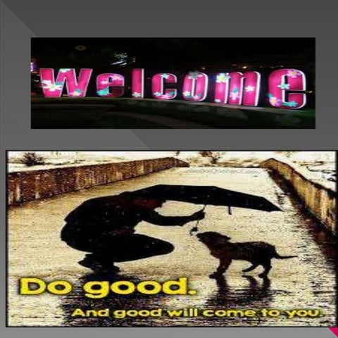 Crisis and it's interventation.