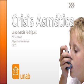 Crisis asmática 2012