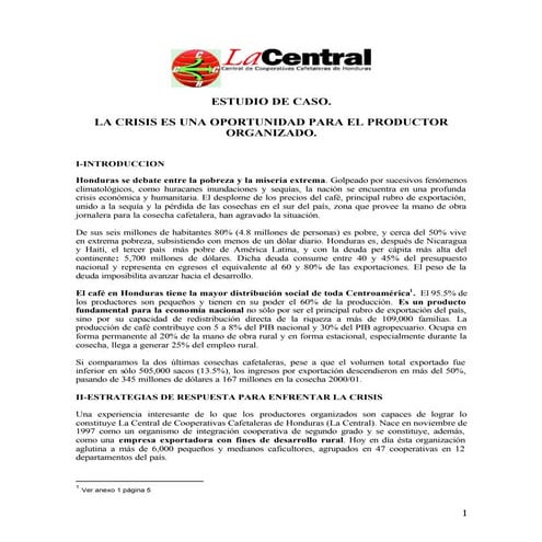La Crisis del Café en Honduras: Una oportunidad para el productor organizado