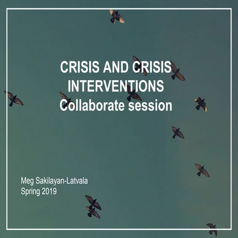 Crisis Work Interventions