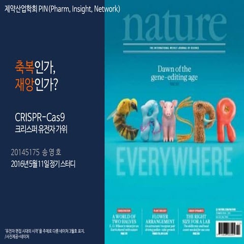 CRISPR-Cas9 크리스퍼 유전자 가위