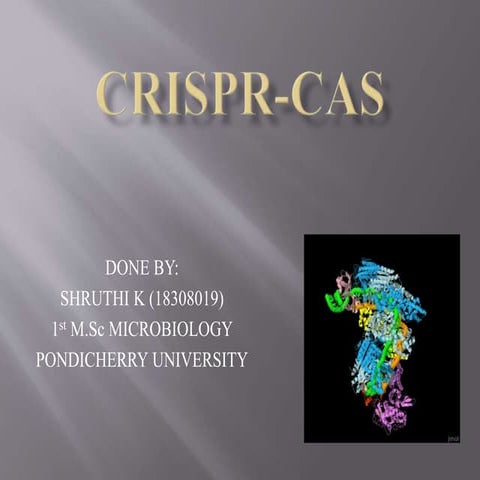 Crispr cas