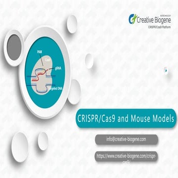 Crispr cas9 and mouse models