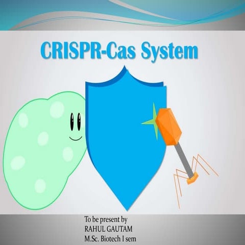 Crispr cas system