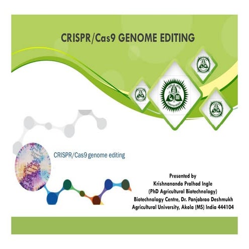 Crispr cas