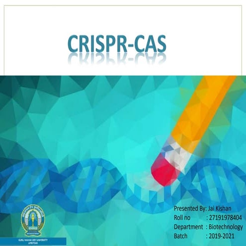 Crispr cas
