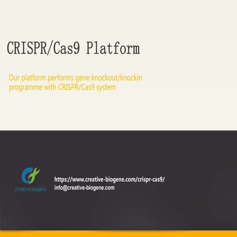 CRISPR/Cas9 Platform