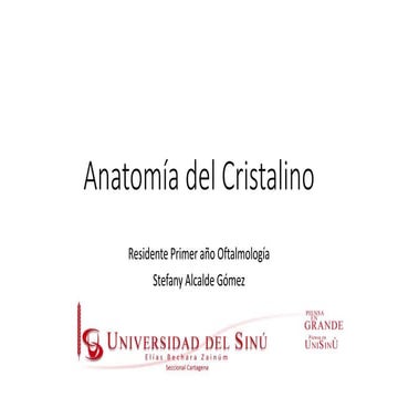 Anatomía del cristalino