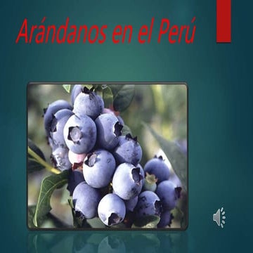 ARANDANOS