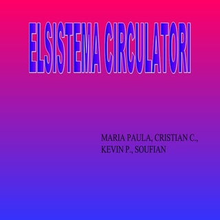 El sistema circulatori